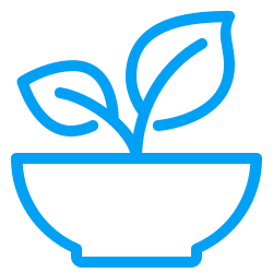 icons8 gesund 250